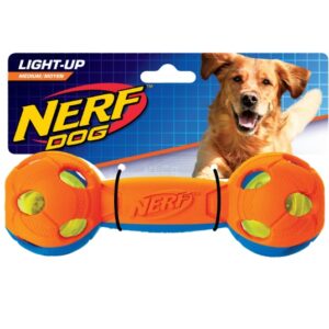 NERF DOG LED BASH BARBELL